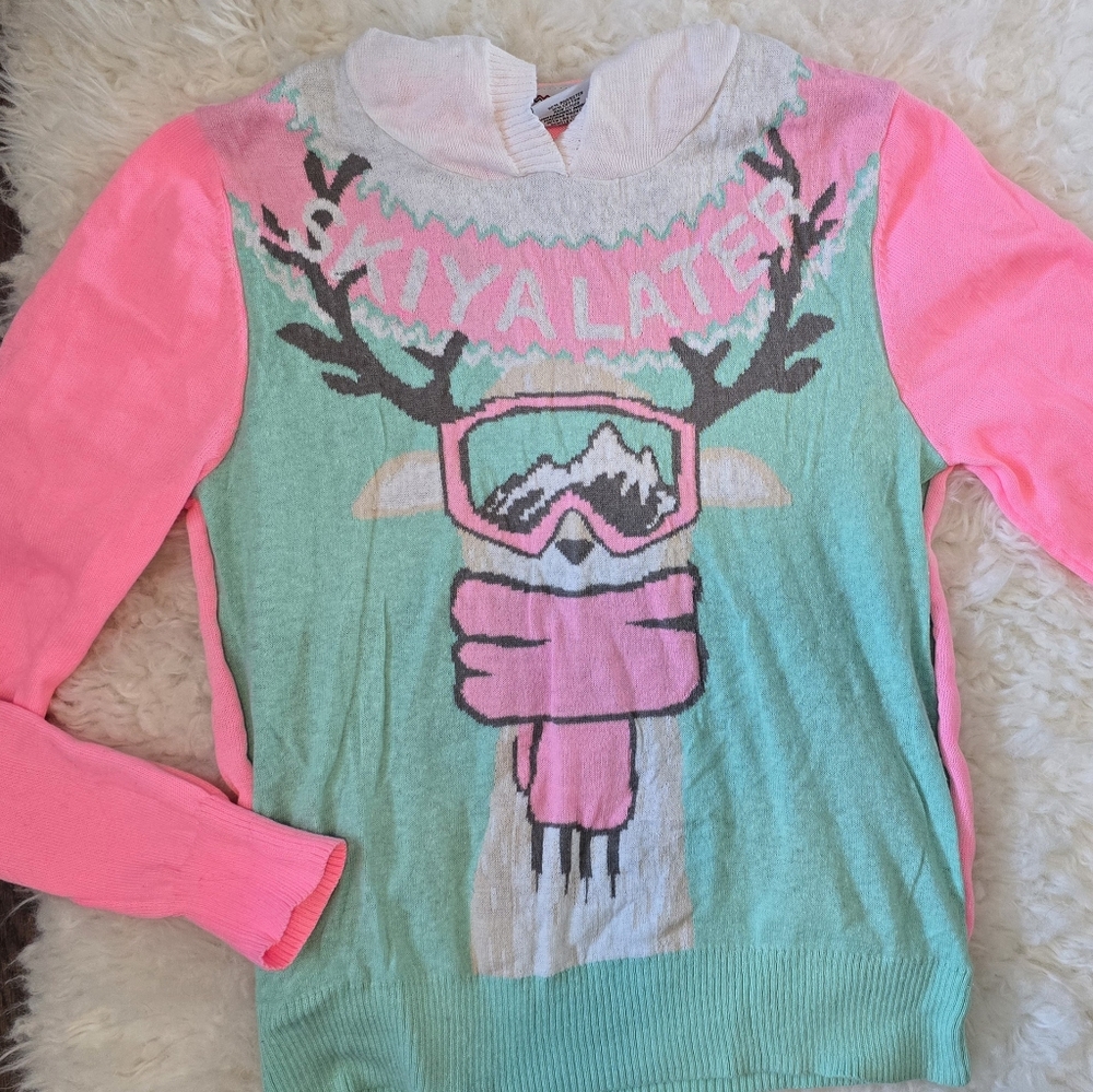 Ski hoodie